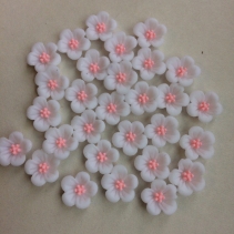 Нежные цветочки 14 мм 10 гр ( примерно 30 шт ) белые