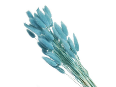 Сухоцвет   Лагурус, (60 веток в пачке), цв. бирюзовый