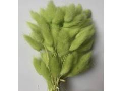 Сухоцвет «Лагурус», (60 веток в пачке), цв. лайм