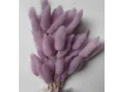 Сухоцвет «Лагурус», (60 веток в пачке), цв. сиреневый