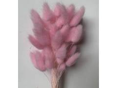 Сухоцвет «Лагурус», (60 веток в пачке), цв. розовый