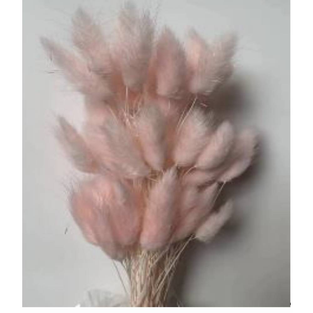 Сухоцвет «Лагурус», (60 веток в пачке), цв. светло-розовый